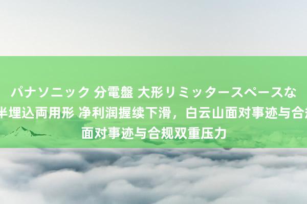 パナソニック 分電盤 大形リミッタースペースなし 露出・半埋込両用形 净利润握续下滑，白云山面对事迹与合规双重压力