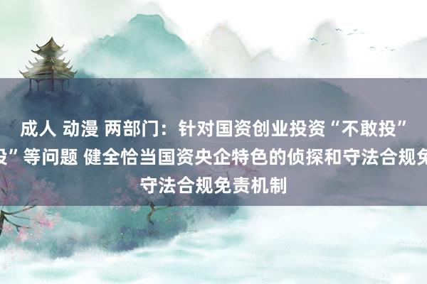 成人 动漫 两部门：针对国资创业投资“不敢投”“不肯投”等问题 健全恰当国资央企特色的侦探和守法合规免责机制