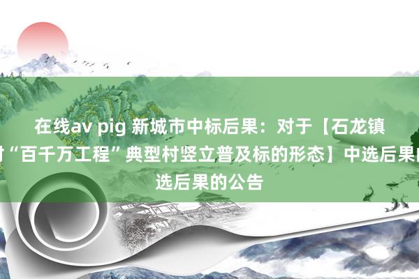 在线av pig 新城市中标后果：对于【石龙镇西湖村“百千万工程”典型村竖立普及标的形态】中选后果的公告