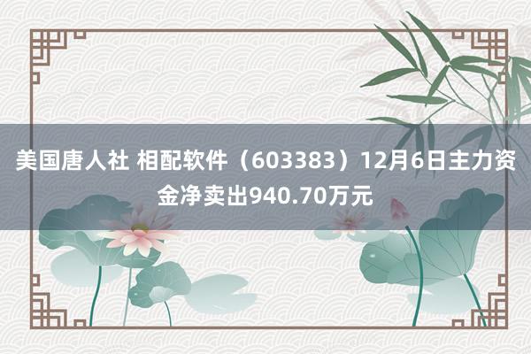 美国唐人社 相配软件（603383）12月6日主力资金净卖出940.70万元
