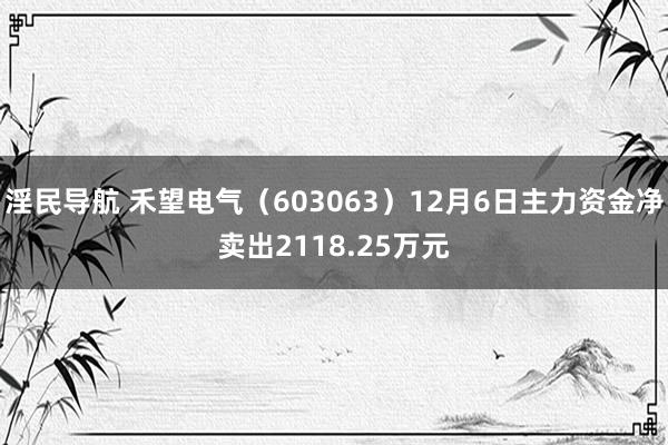 淫民导航 禾望电气（603063）12月6日主力资金净卖出2118.25万元
