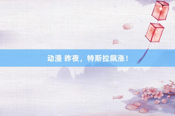 动漫 昨夜，特斯拉飙涨！