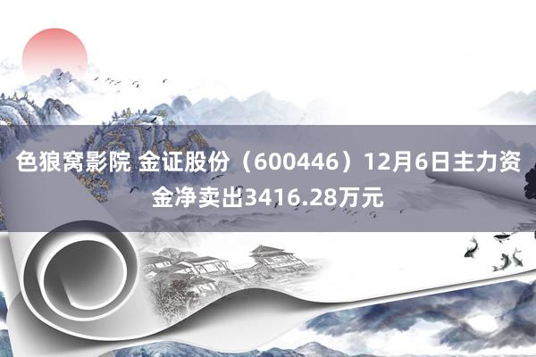 色狼窝影院 金证股份（600446）12月6日主力资金净卖出3416.28万元