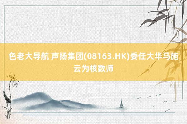色老大导航 声扬集团(08163.HK)委任大华马施云为核数师