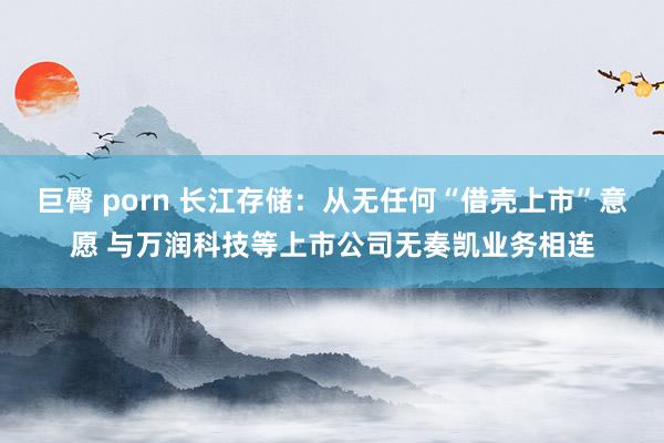 巨臀 porn 长江存储：从无任何“借壳上市”意愿 与万润科技等上市公司无奏凯业务相连