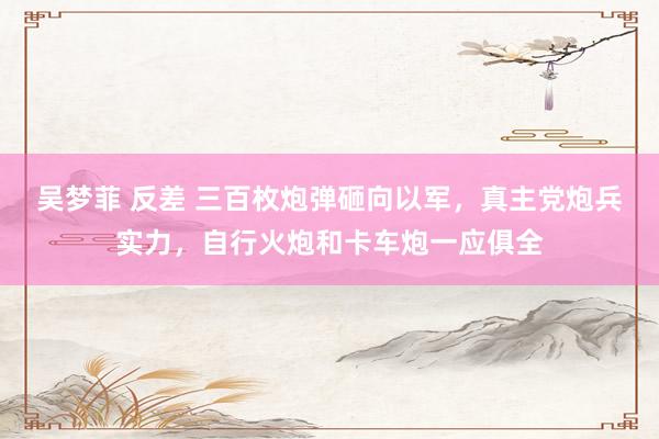 吴梦菲 反差 三百枚炮弹砸向以军，真主党炮兵实力，自行火炮和卡车炮一应俱全