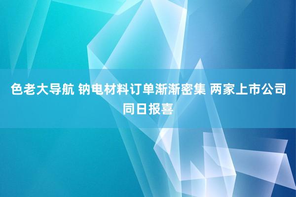 色老大导航 钠电材料订单渐渐密集 两家上市公司同日报喜