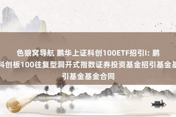 色狼窝导航 鹏华上证科创100ETF招引I: 鹏华上证科创板100往复型洞开式指数证券投资基金招引基金基金合同