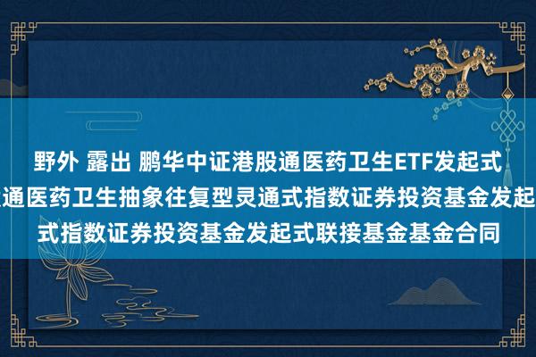 野外 露出 鹏华中证港股通医药卫生ETF发起式联接I: 鹏华中证港股通医药卫生抽象往复型灵通式指数证券投资基金发起式联接基金基金合同