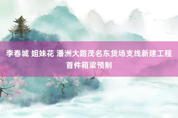 李春城 姐妹花 潘洲大路茂名东货场支线新建工程首件箱梁预制