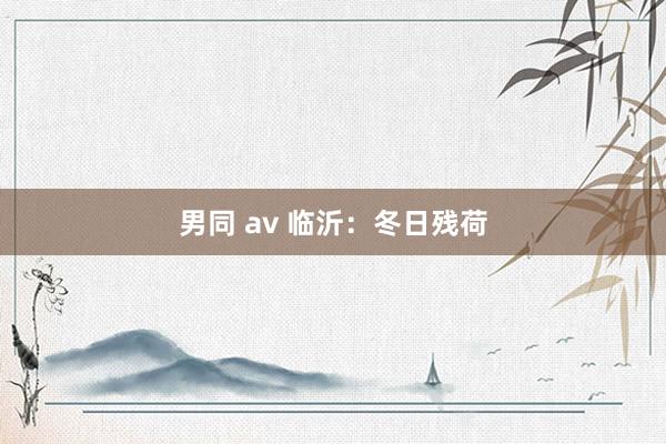 男同 av 临沂：冬日残荷