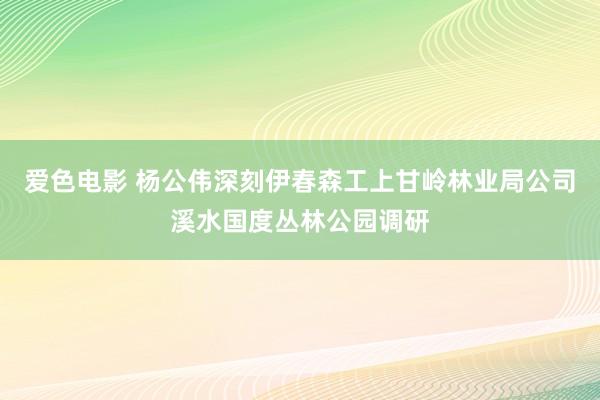 爱色电影 杨公伟深刻伊春森工上甘岭林业局公司溪水国度丛林公园调研