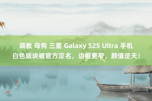 调教 母狗 三星 Galaxy S25 Ultra 手机白色版块被官方定名，边框更窄，颜值逆天！