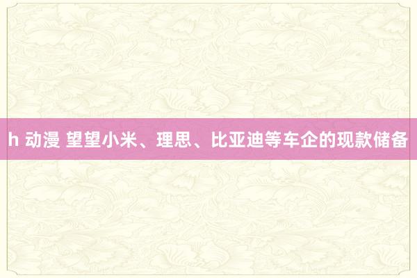h 动漫 望望小米、理思、比亚迪等车企的现款储备