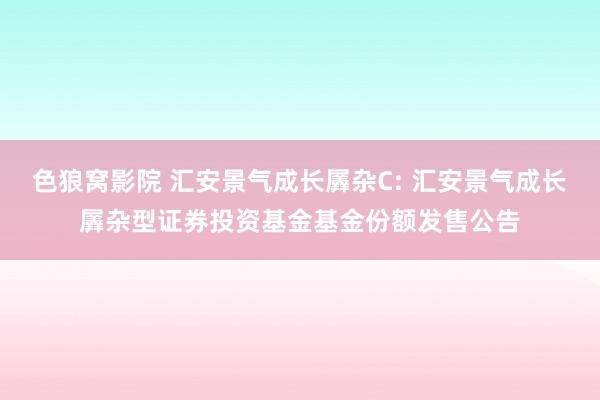 色狼窝影院 汇安景气成长羼杂C: 汇安景气成长羼杂型证券投资基金基金份额发售公告