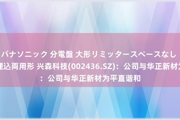 パナソニック 分電盤 大形リミッタースペースなし 露出・半埋込両用形 兴森科技(002436.SZ):公司与华正新材为平直谐和
