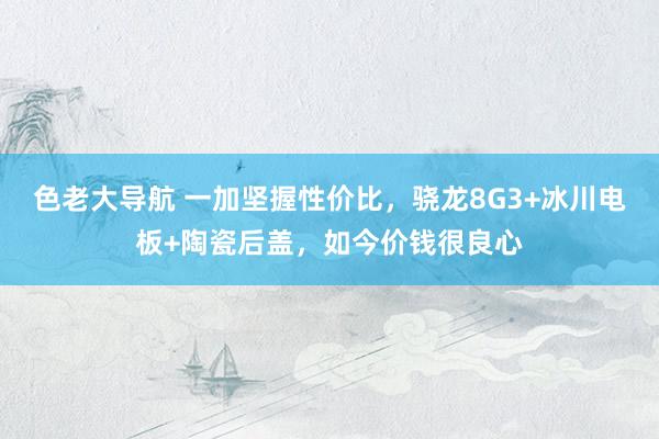 色老大导航 一加坚握性价比，骁龙8G3+冰川电板+陶瓷后盖，如今价钱很良心