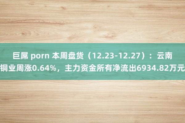 巨屌 porn 本周盘货（12.23-12.27）：云南铜业周涨0.64%，主力资金所有净流出6934.82万元