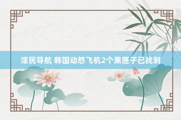 淫民导航 韩国动怒飞机2个黑匣子已找到
