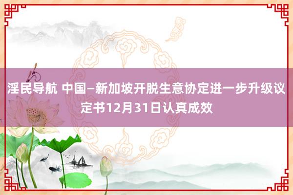 淫民导航 中国—新加坡开脱生意协定进一步升级议定书12月31日认真成效