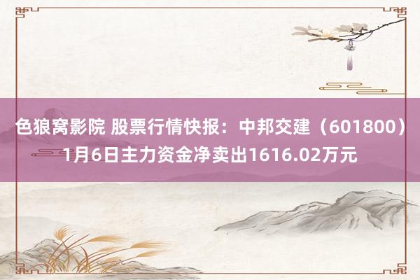 色狼窝影院 股票行情快报：中邦交建（601800）1月6日主力资金净卖出1616.02万元