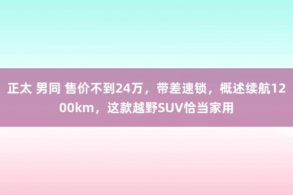 正太 男同 售价不到24万，带差速锁，概述续航1200km，这款越野SUV恰当家用