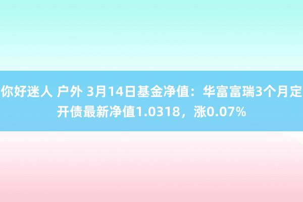 你好迷人 户外 3月14日基金净值：华富富瑞3个月定开债最新净值1.0318，涨0.07%