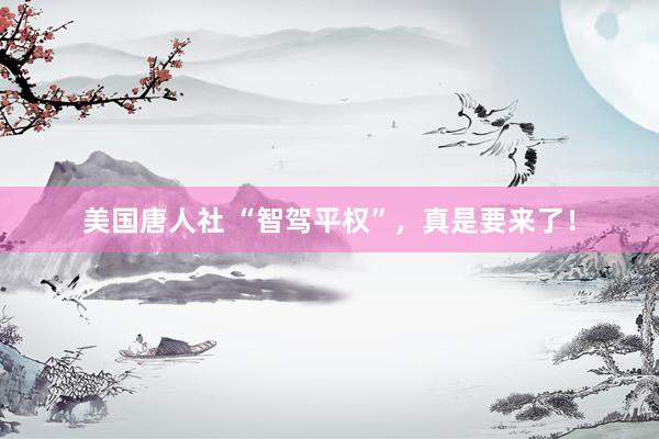 美国唐人社 “智驾平权”，真是要来了！