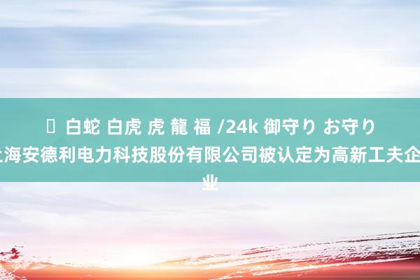 ✨白蛇 白虎 虎 龍 福 /24k 御守り お守り 上海安德利电力科技股份有限公司被认定为高新工夫企业