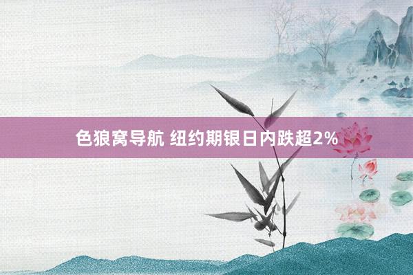 色狼窝导航 纽约期银日内跌超2%
