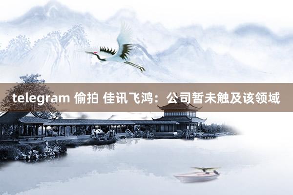telegram 偷拍 佳讯飞鸿：公司暂未触及该领域