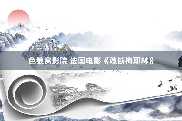 色狼窝影院 法国电影《魂断梅耶林》