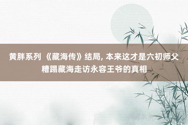 黄胖系列 《藏海传》结局， 本来这才是六初师父糟蹋藏海走访永容王爷的真相